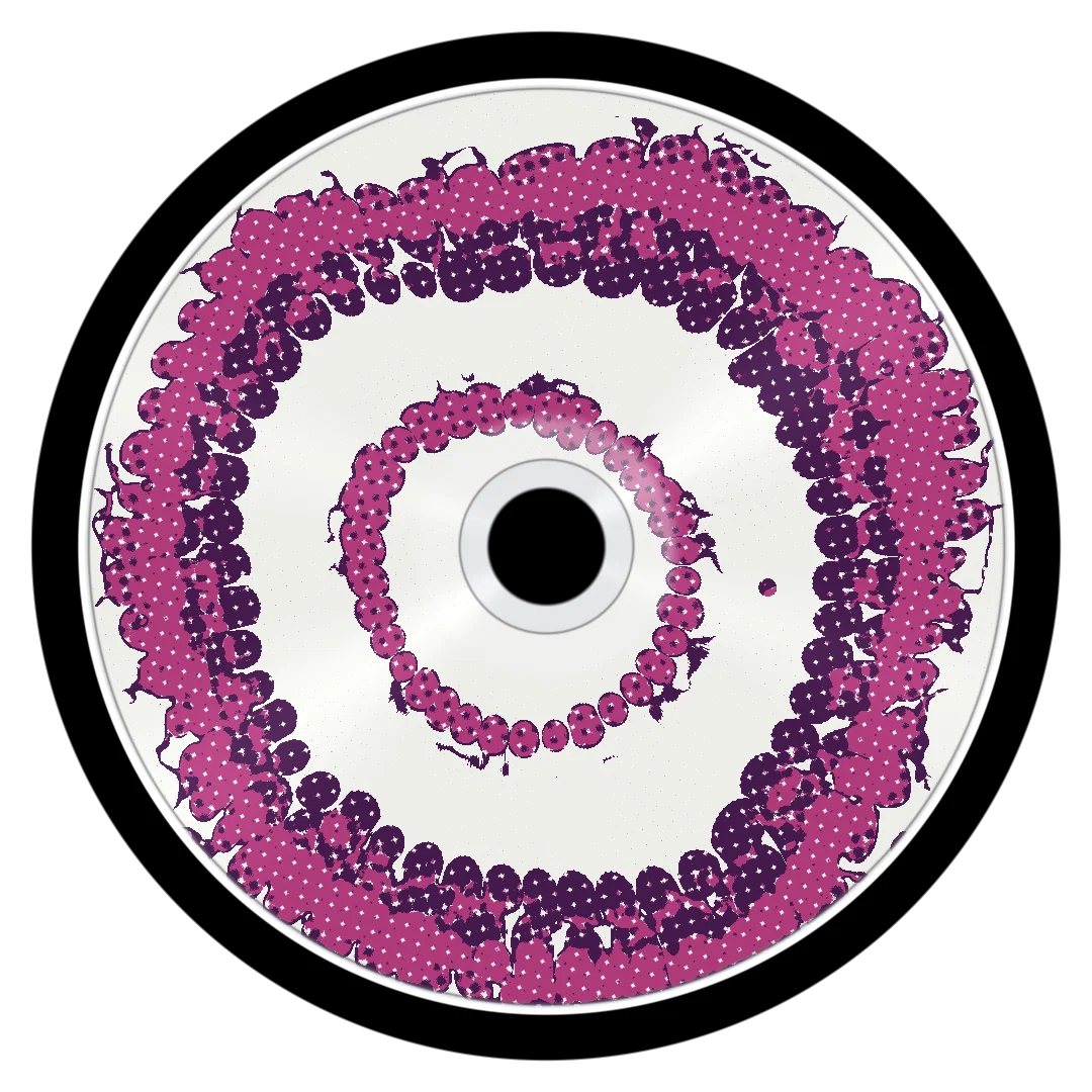 IRIS cover