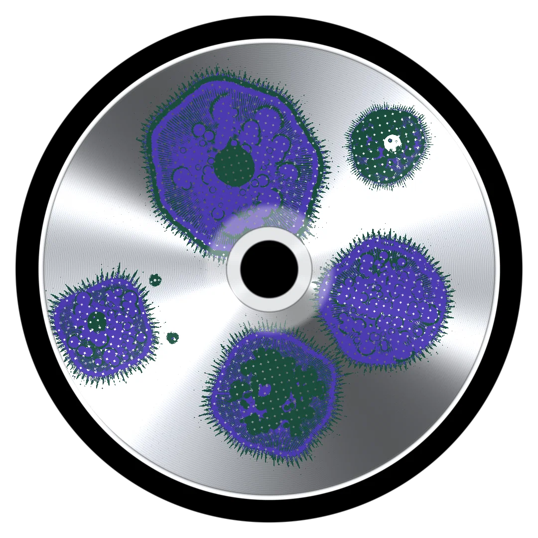 WAVE CHECK cover