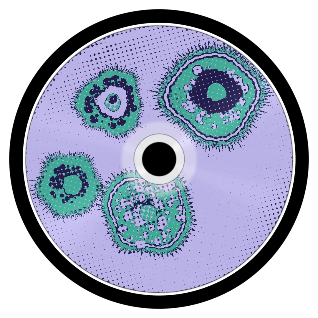 POLO cover