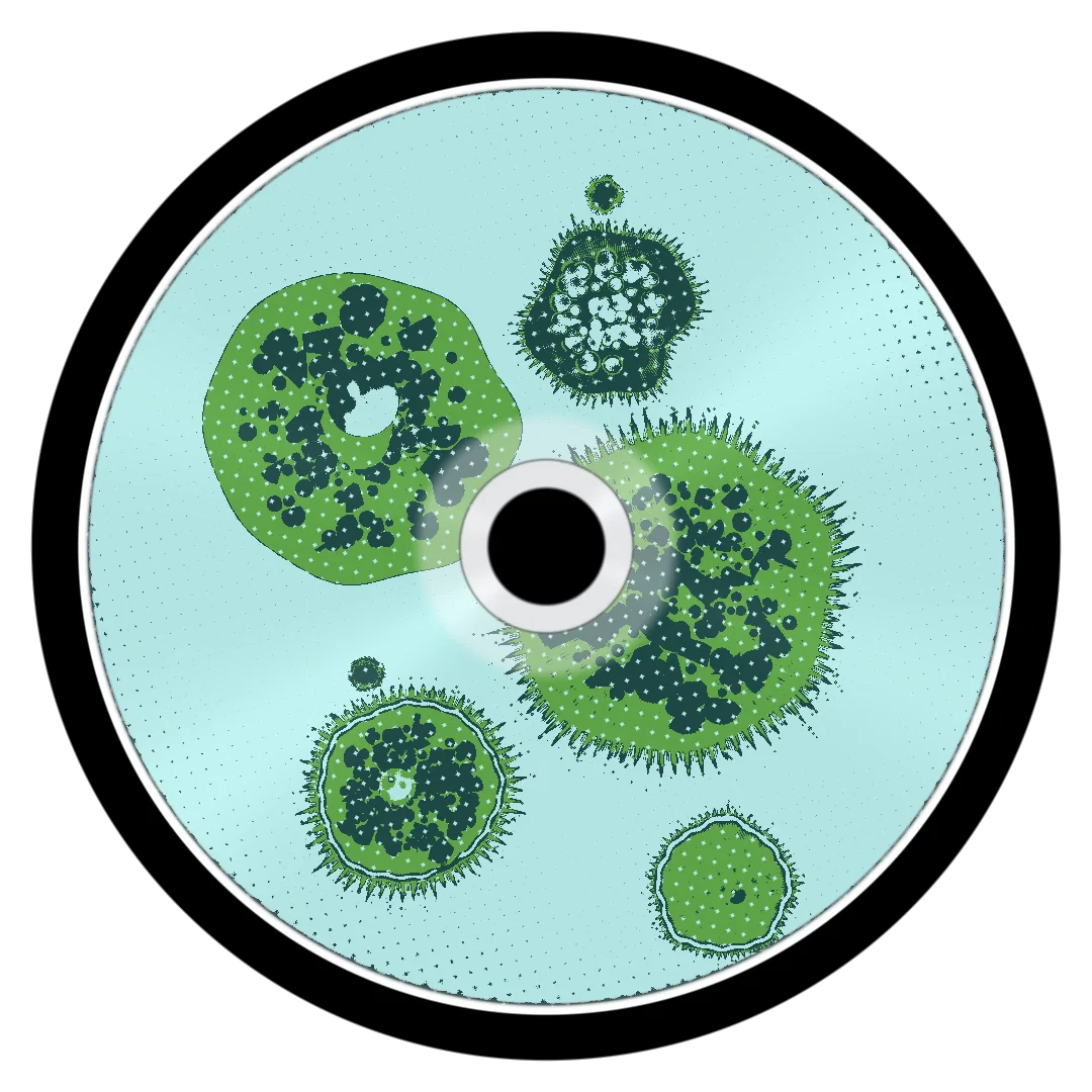 BAKKARAT cover