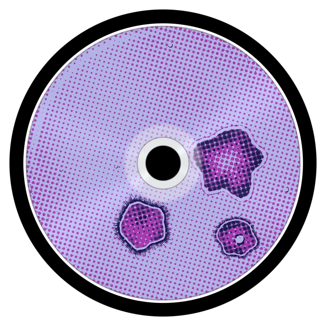 ECSTACY cover