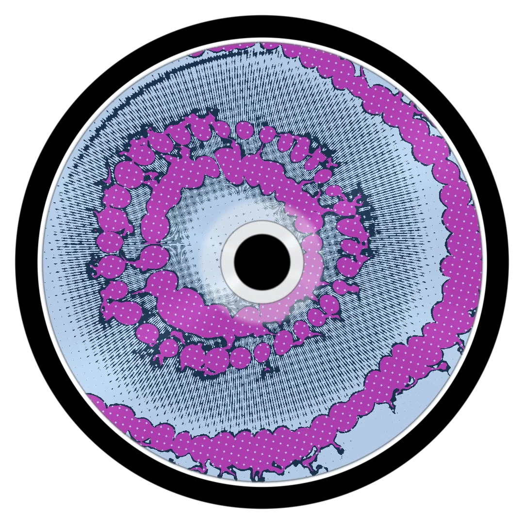 AMMO cover