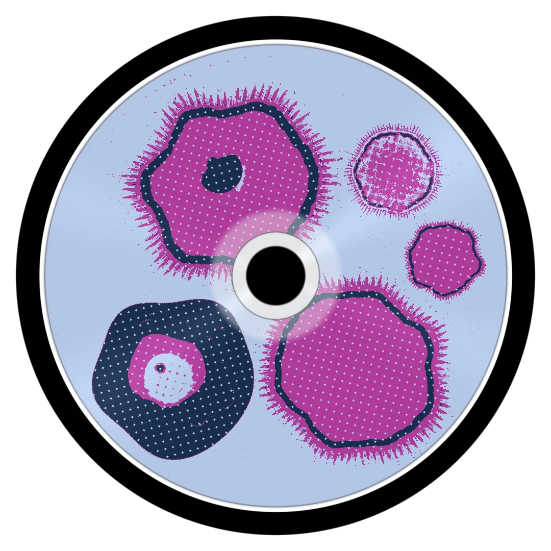 JASMINE cover