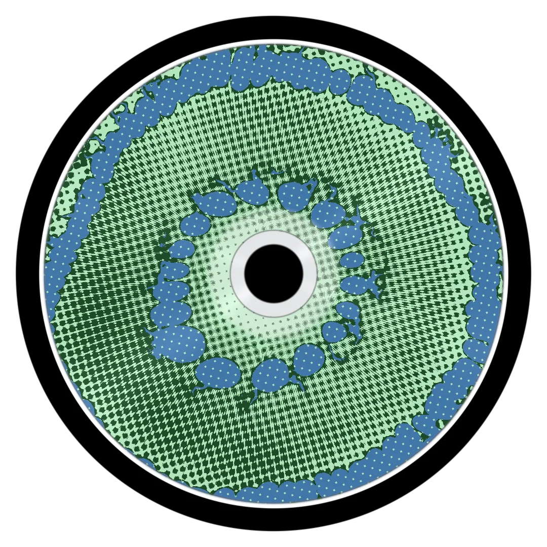 OLYMPIA cover