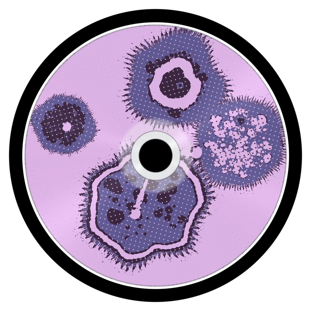PALACE cover