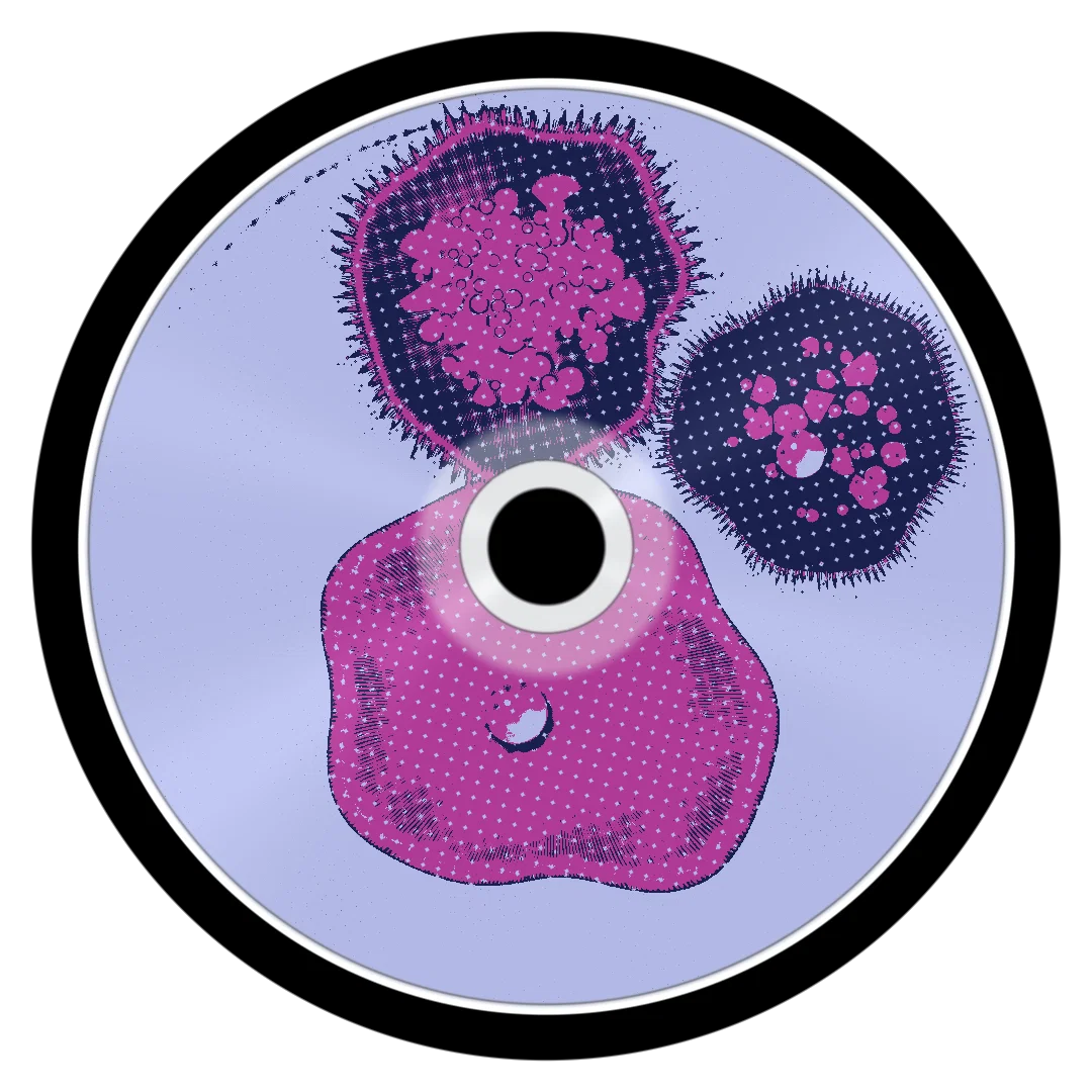 HIVE cover