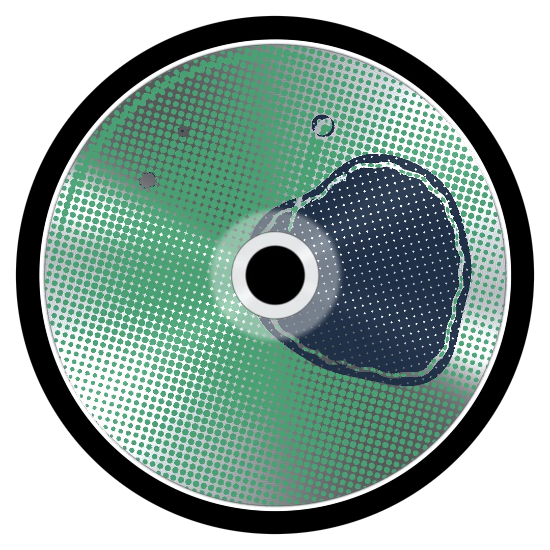 FASTCAR cover