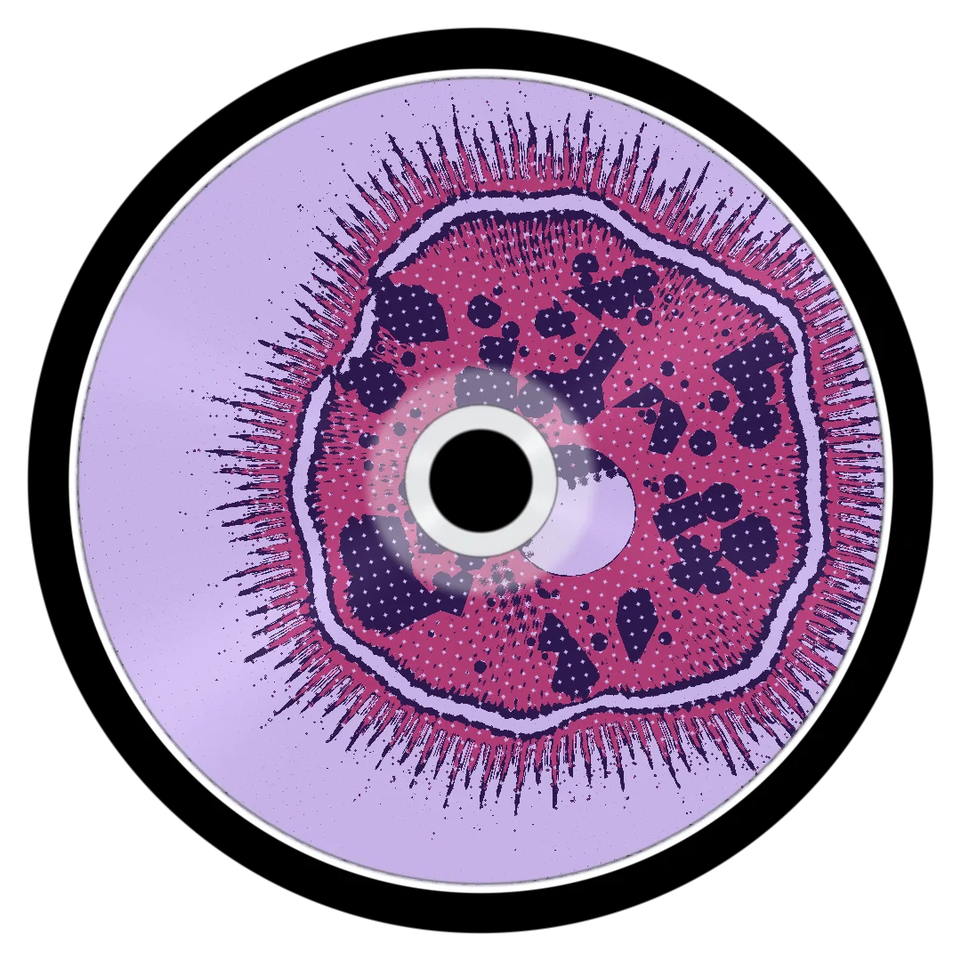 MEXICO cover