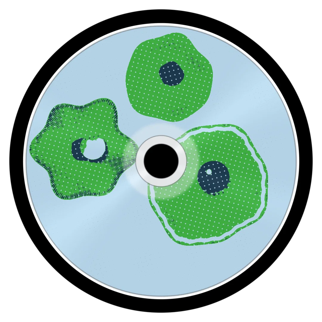 MAJOR cover