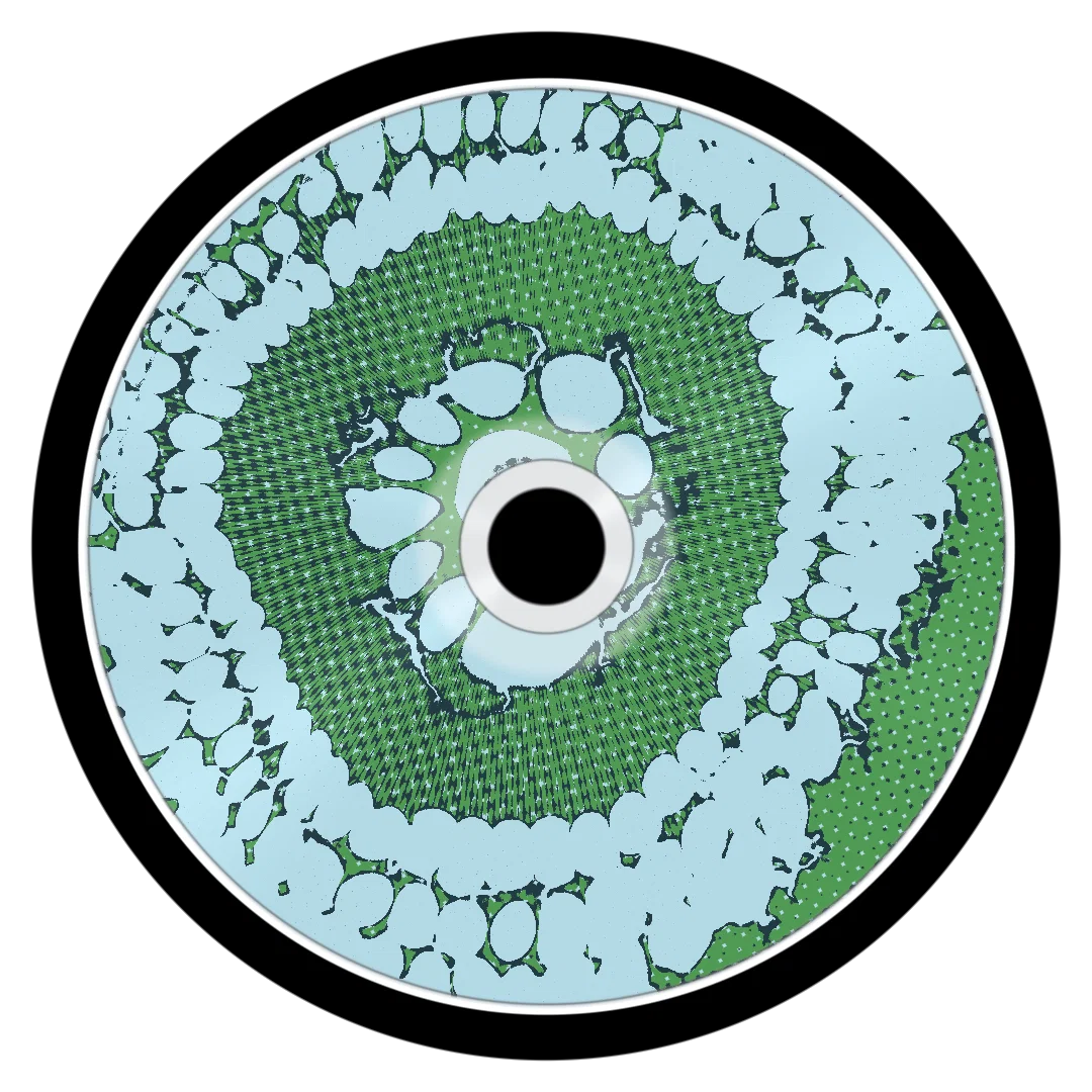ORLANDO cover