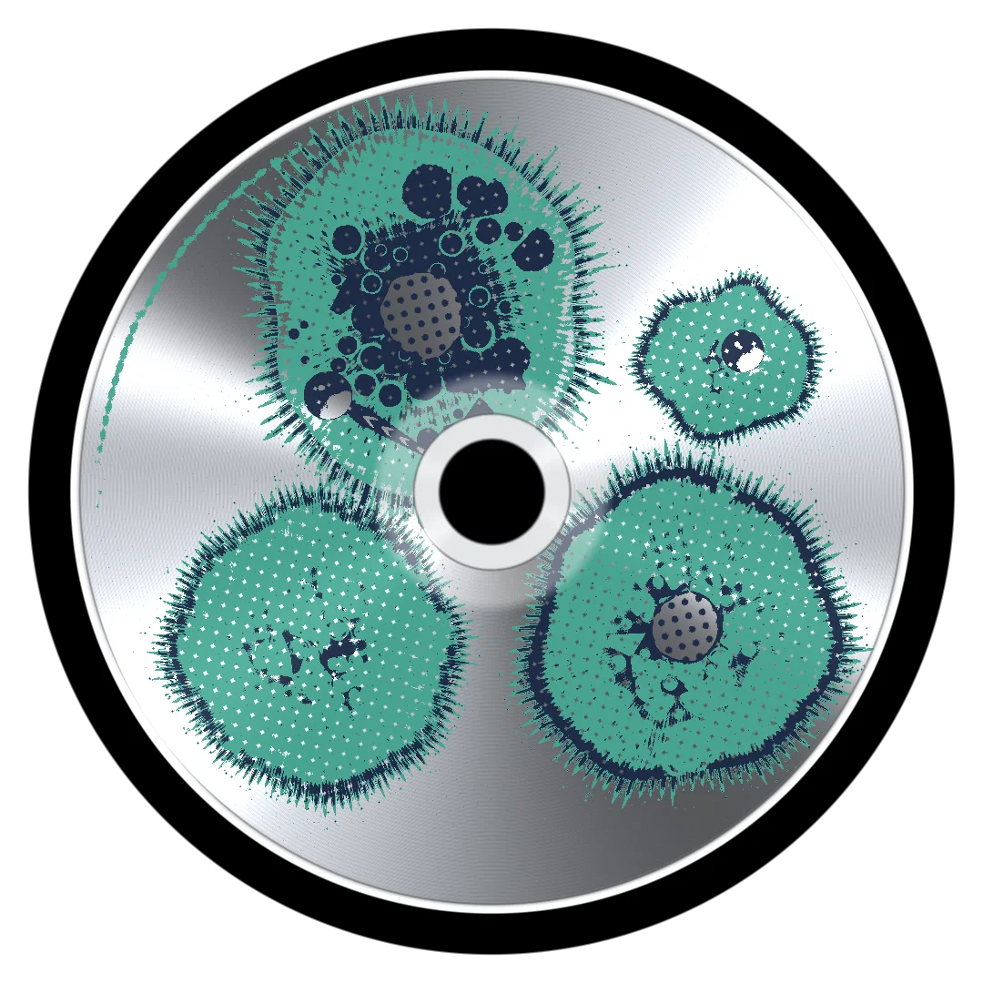 ROMAN cover