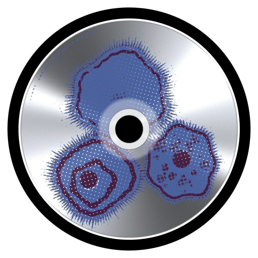 SORTS cover