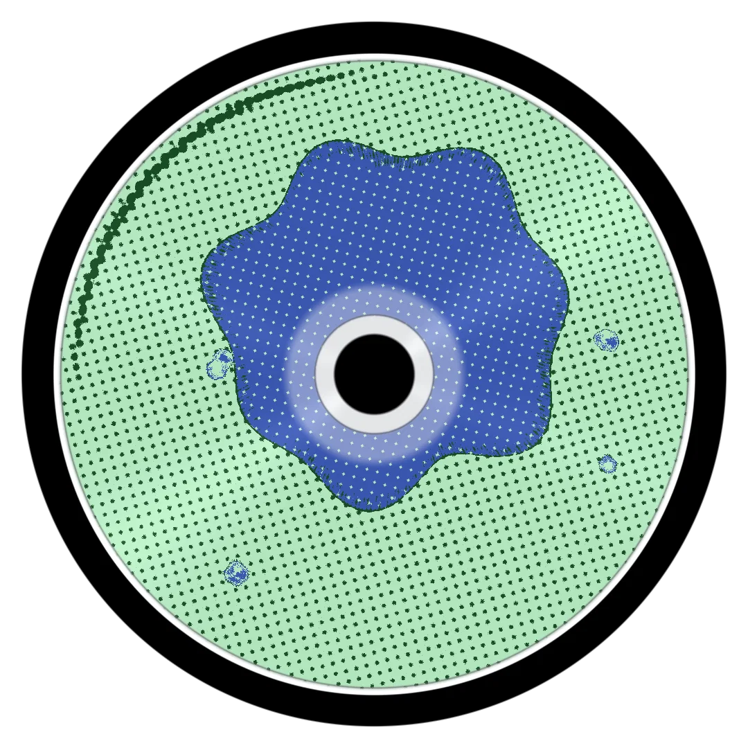 TIMBER cover