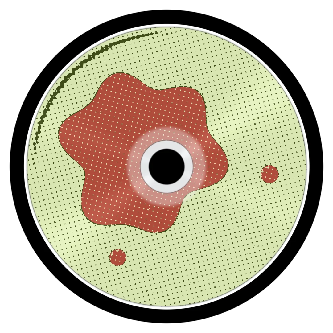 WANDA cover
