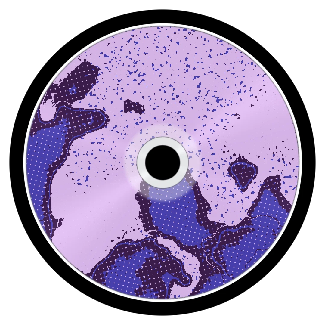FEMUR cover