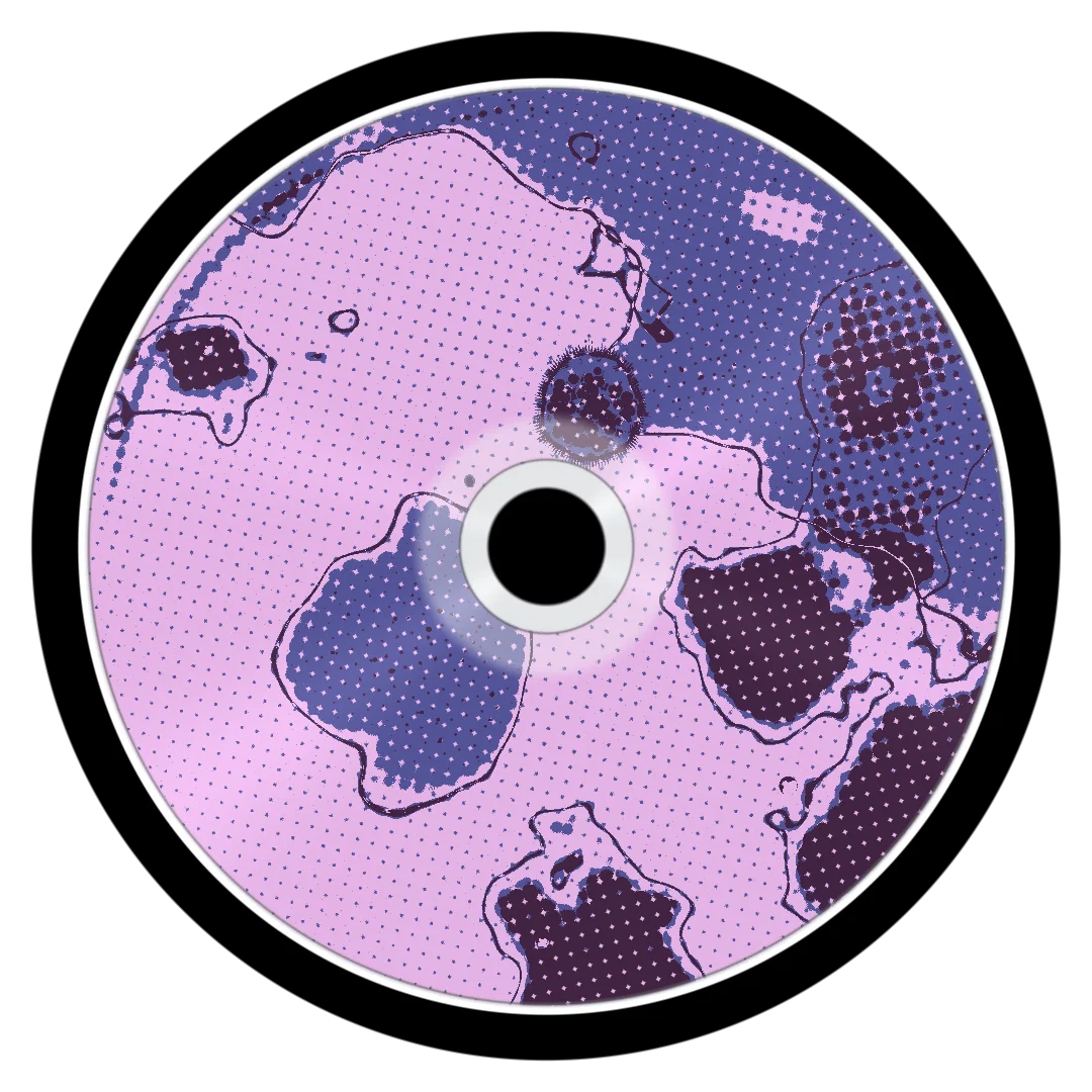 BURBANK cover