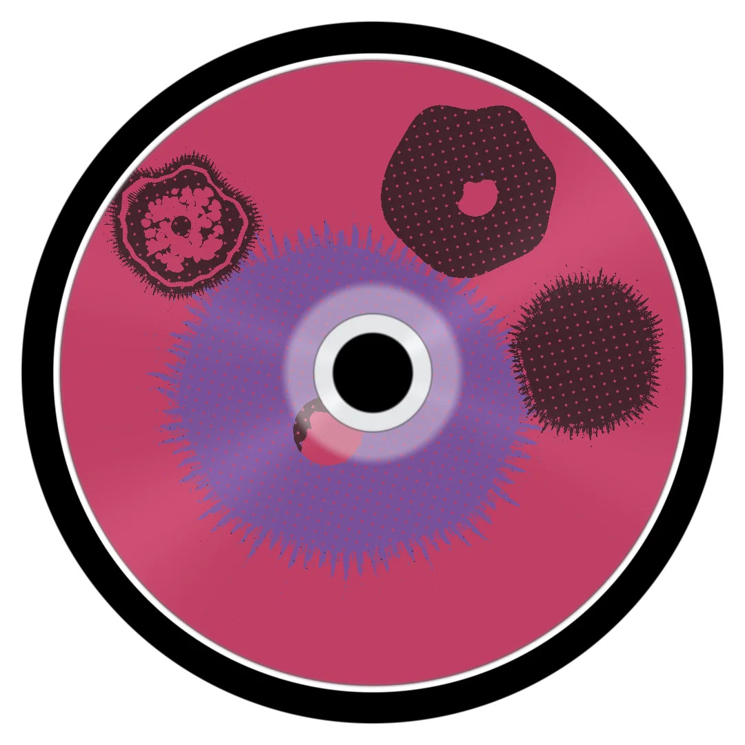 SPOSE cover