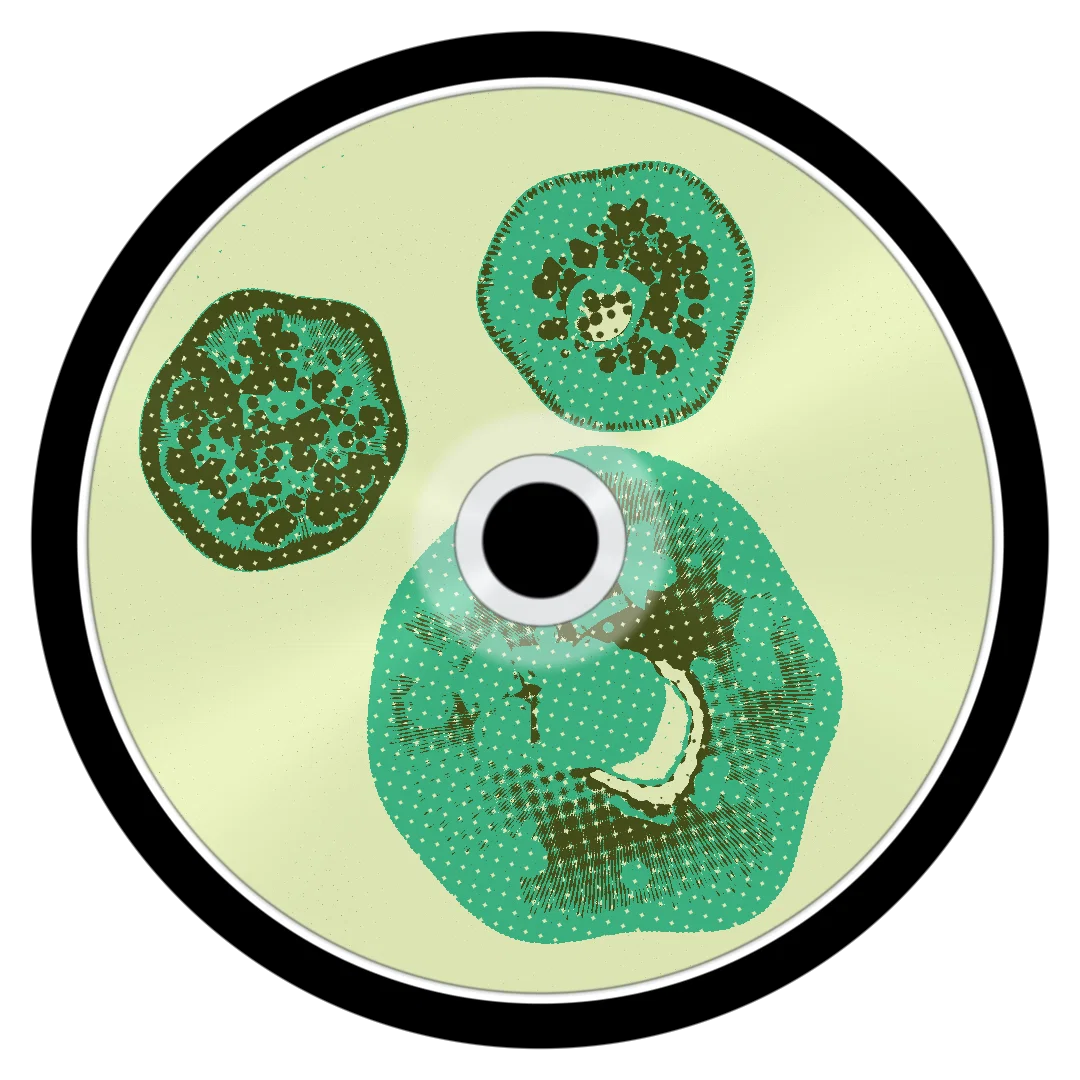 PORTLAND cover