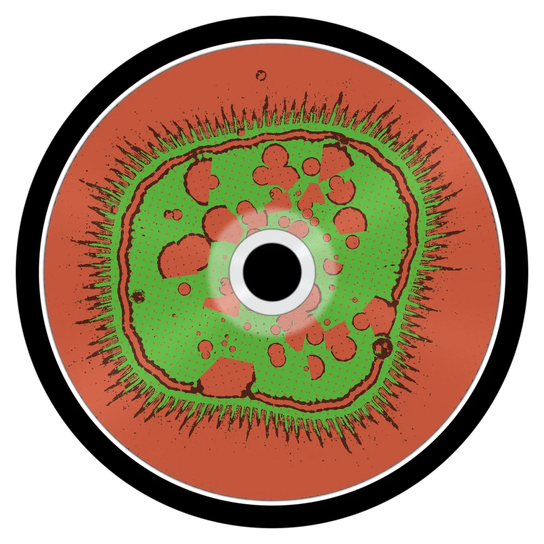 PULLA cover