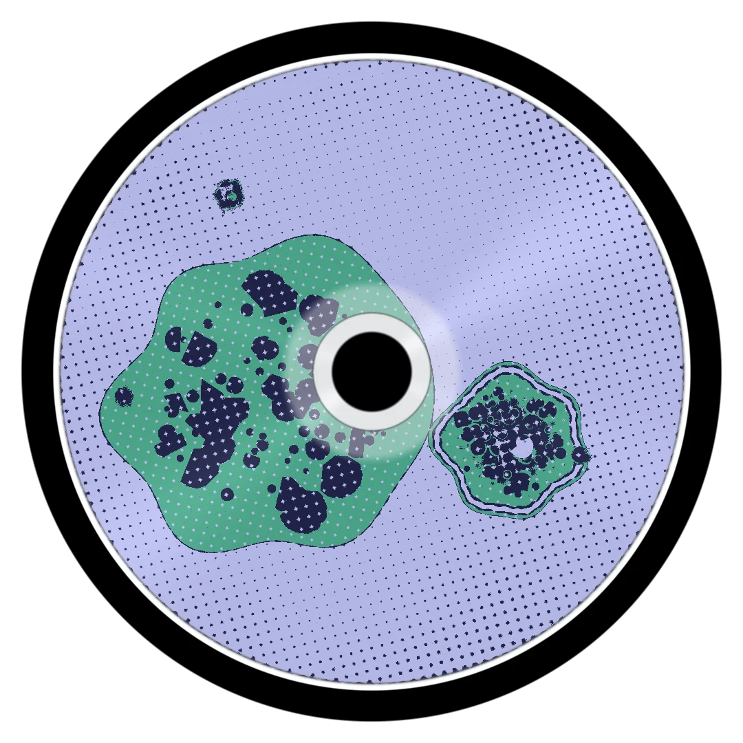 PERTH cover