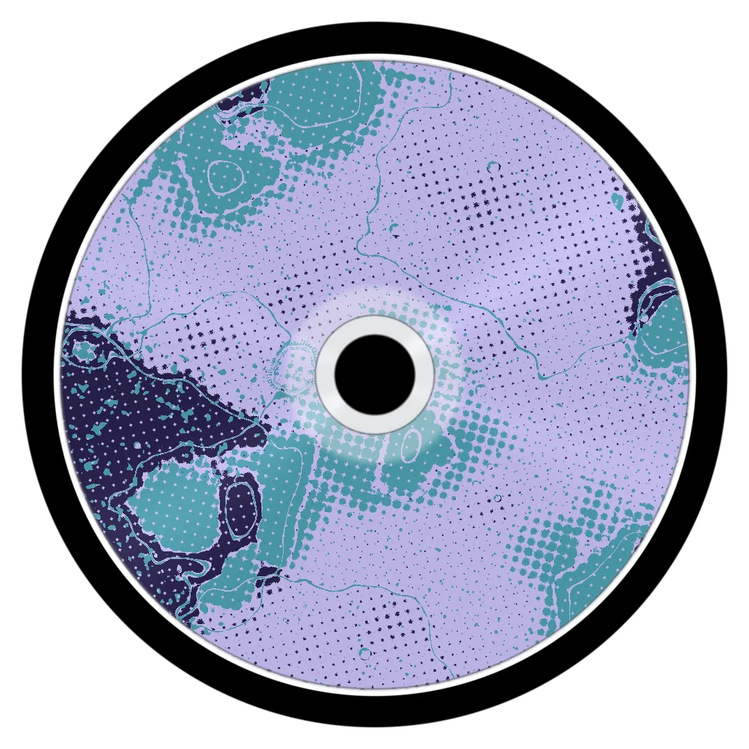 SONIC cover