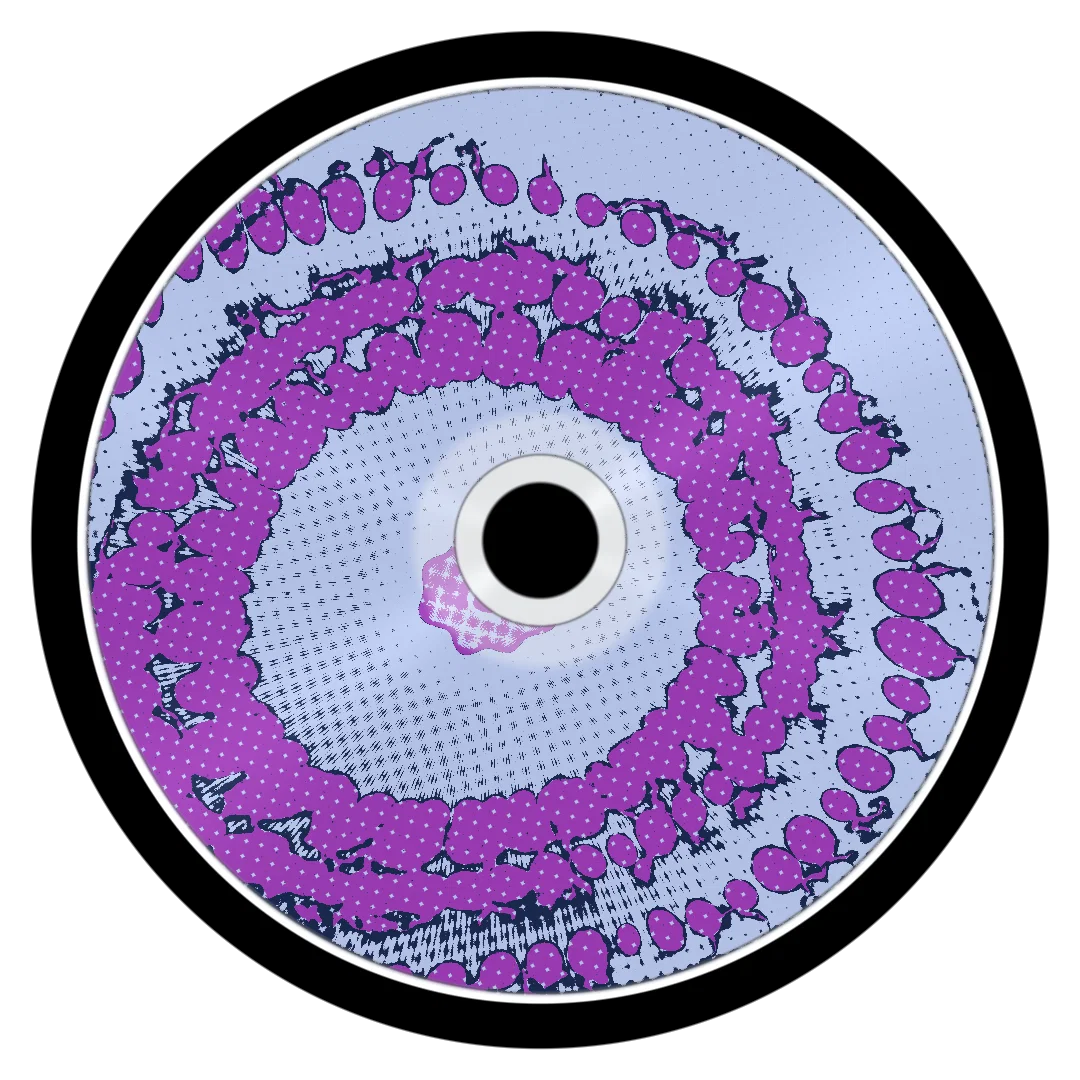 SQUISHY cover