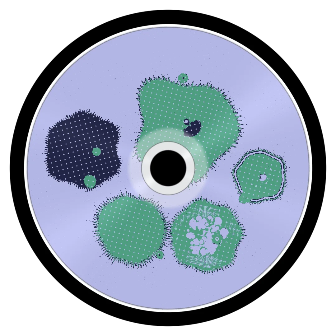 BAPE cover