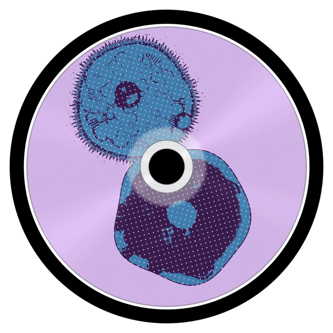 DISCOVERY cover