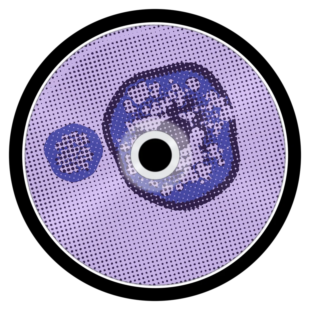 FEVERDREAM cover