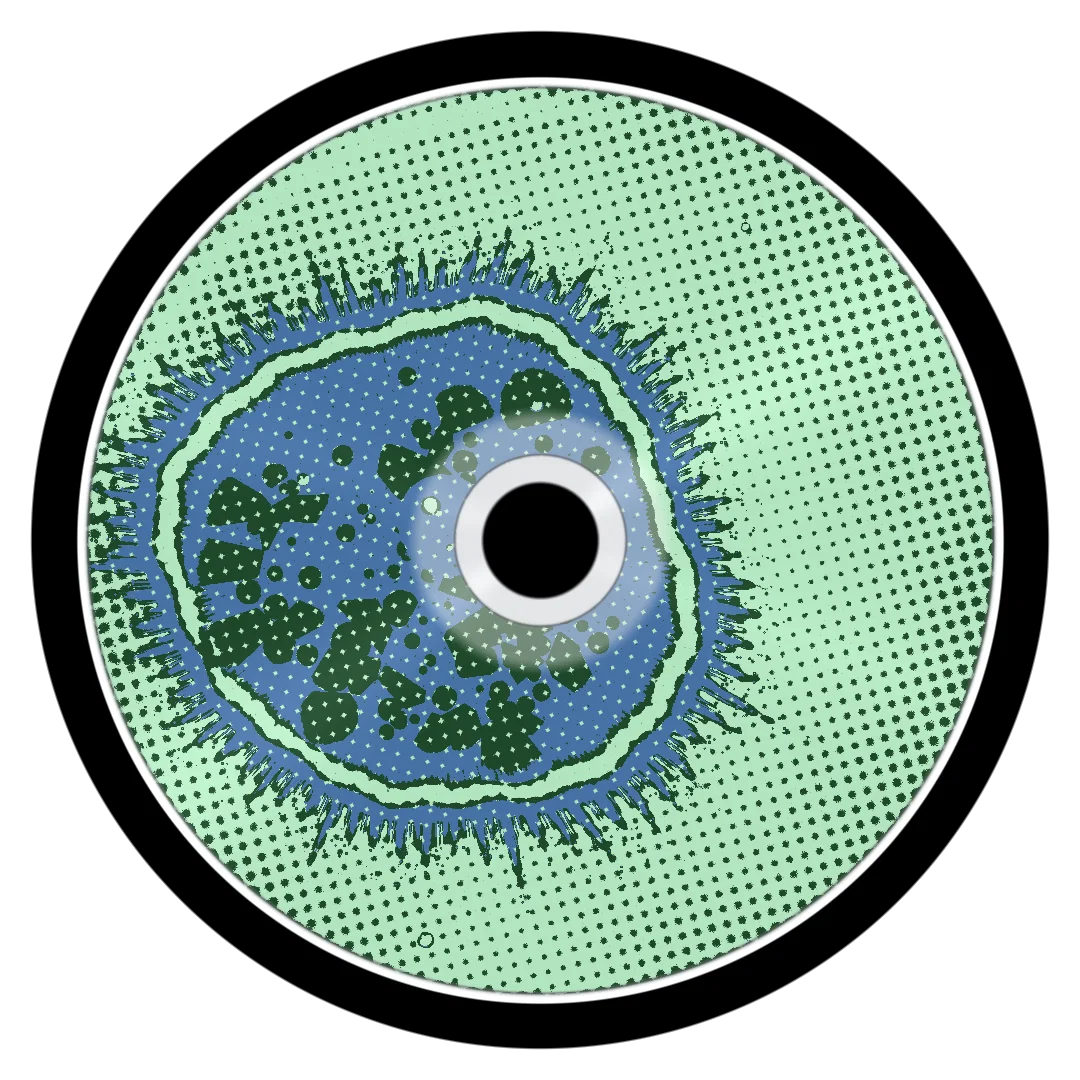 FLY cover