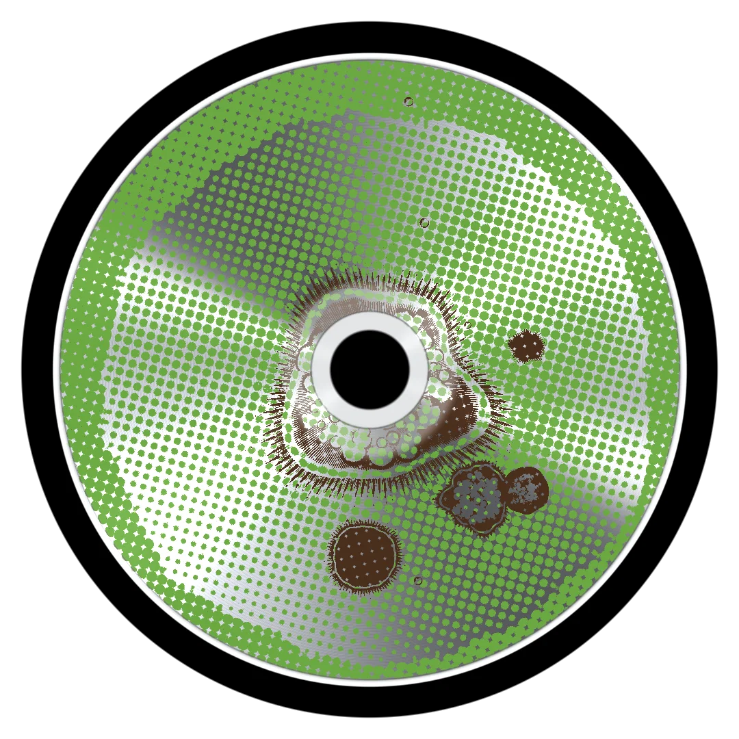 H0LYY GR4I1 ++ cover