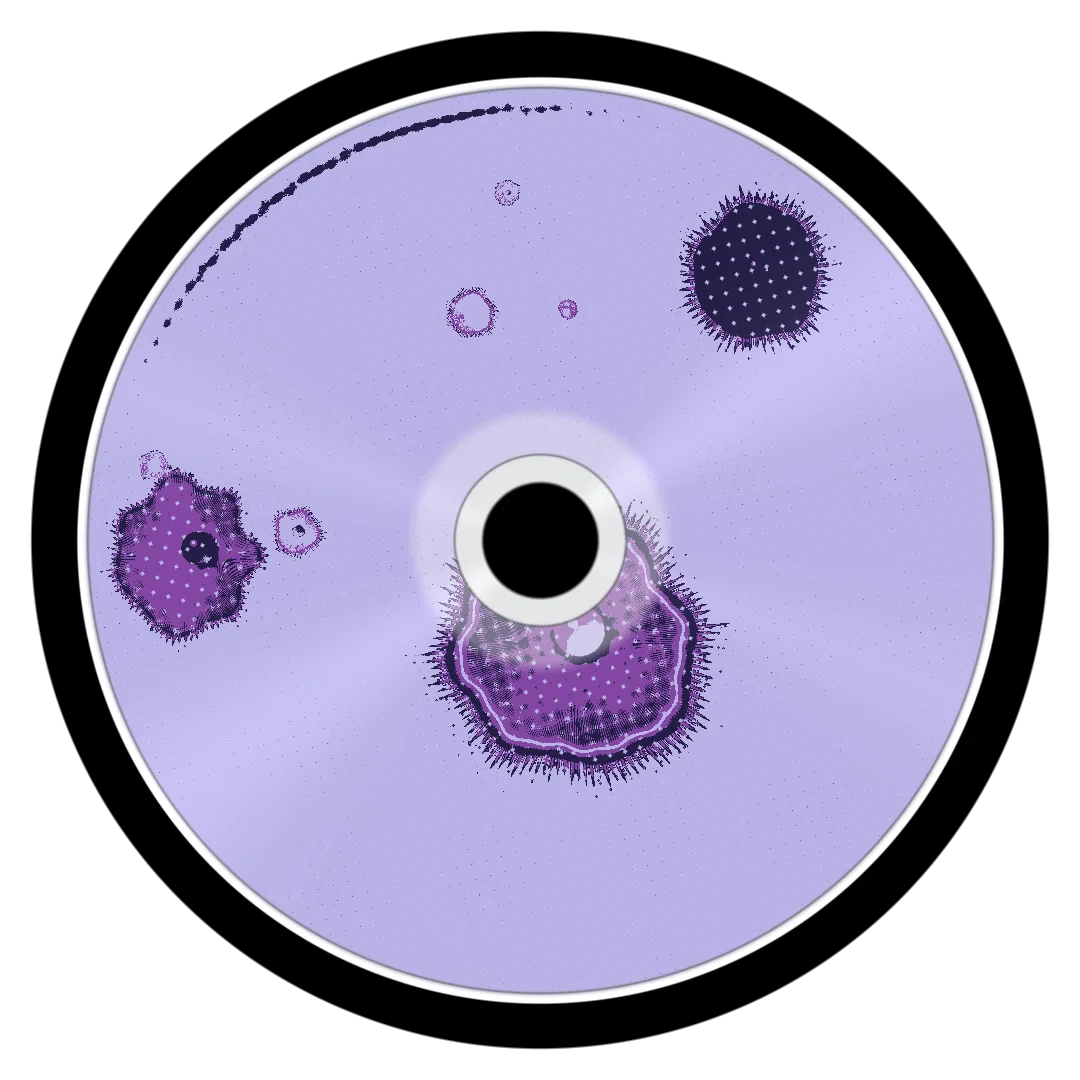 XARO cover