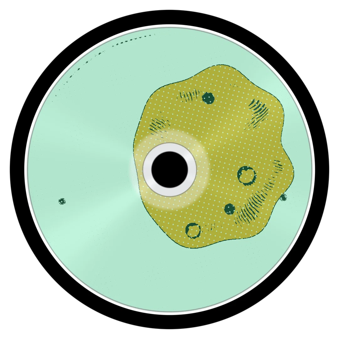 XPAND cover