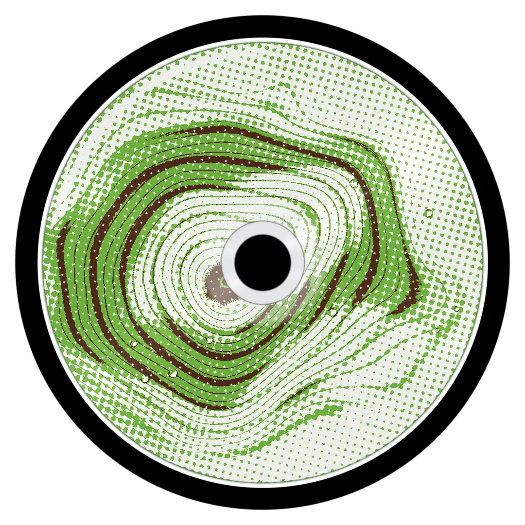 ZEBRA cover