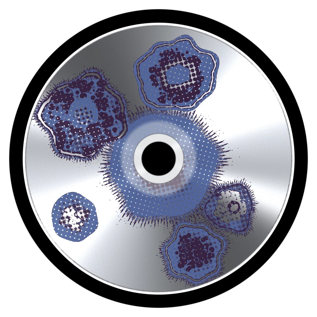 MACIL cover