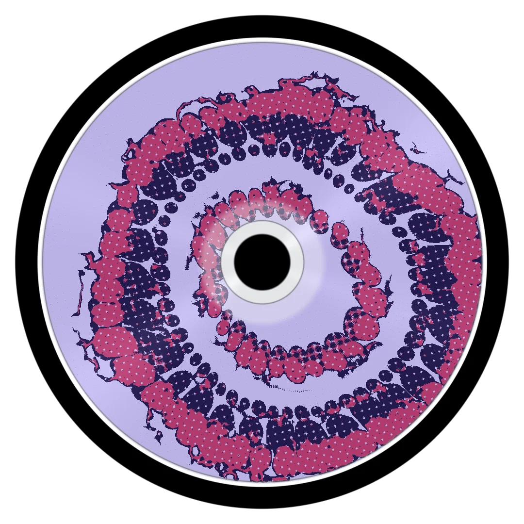 NEURO cover