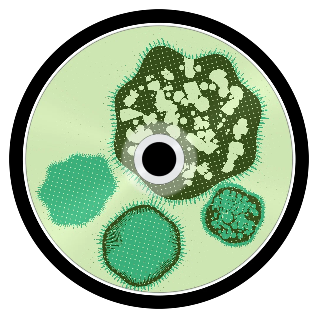 CRUMBL cover