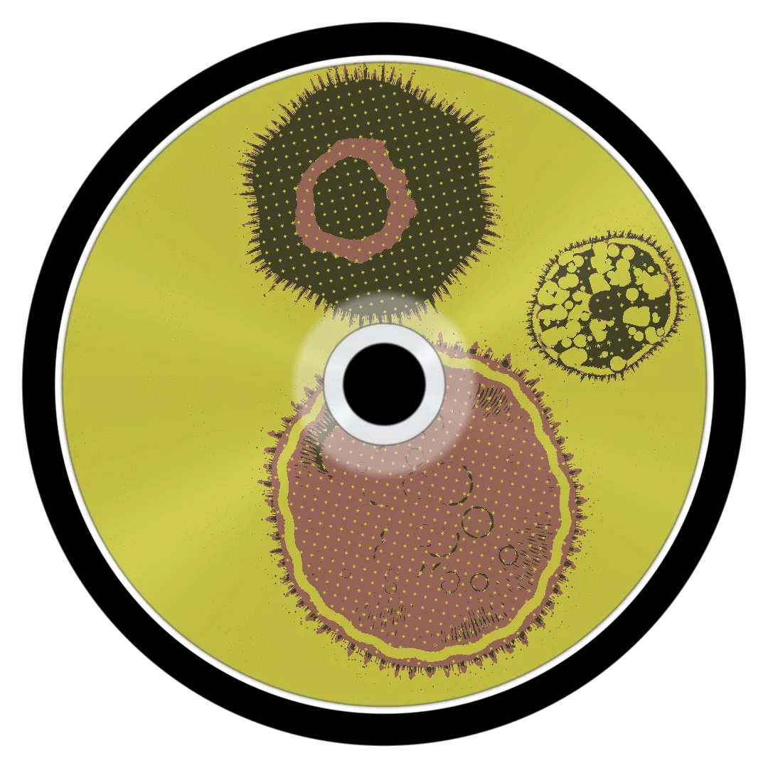 PIRACY cover