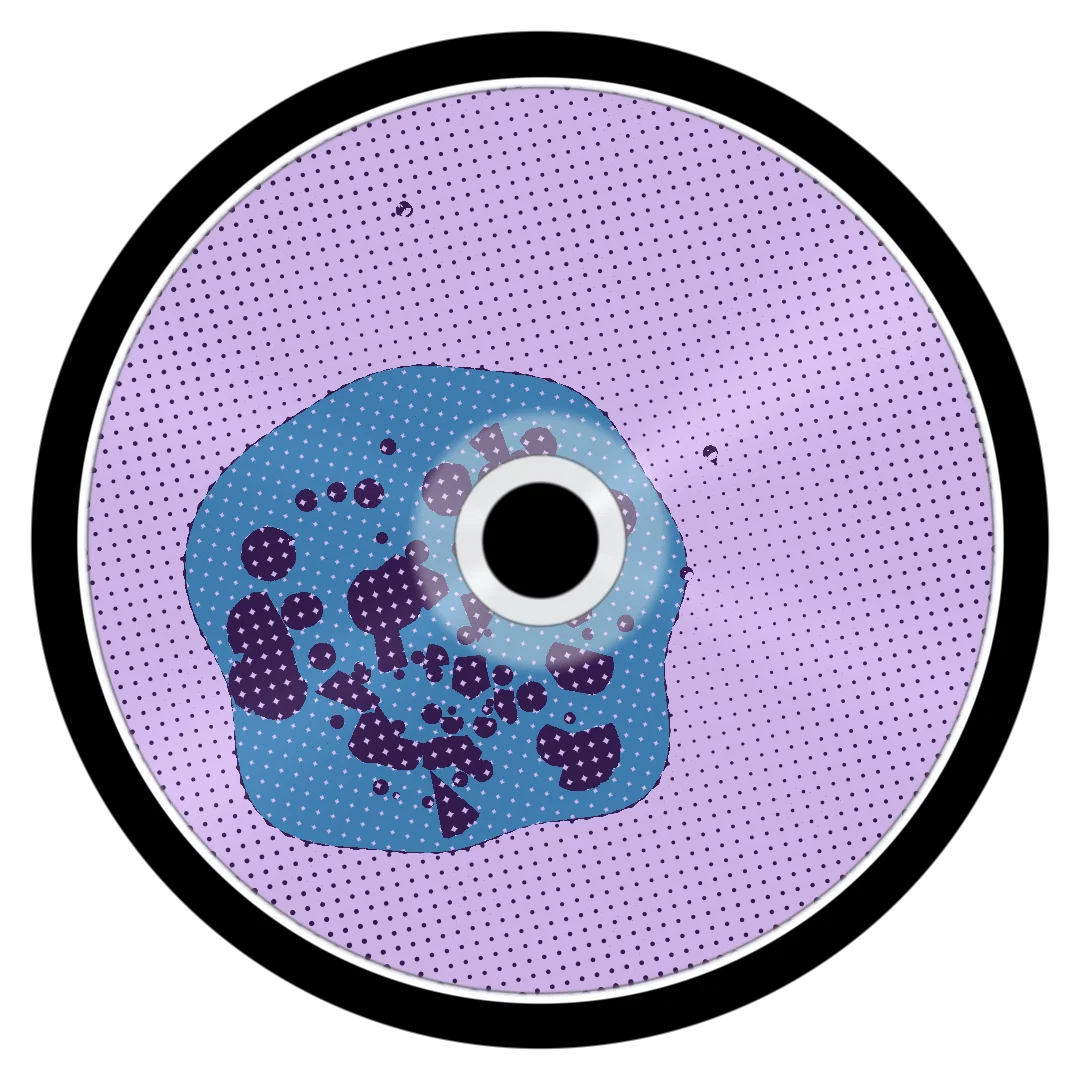 POCHONOS cover