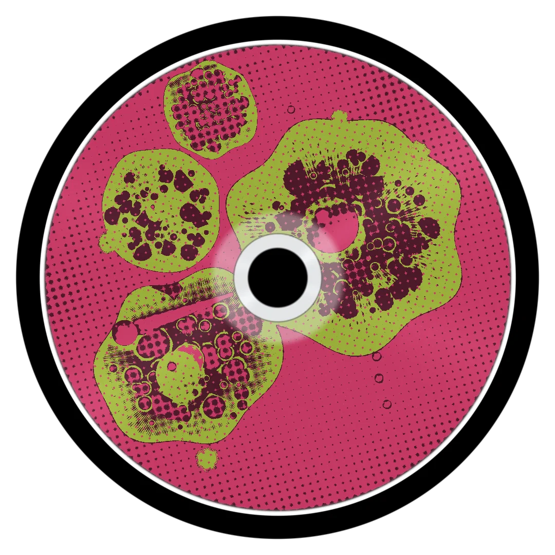 ROSES cover