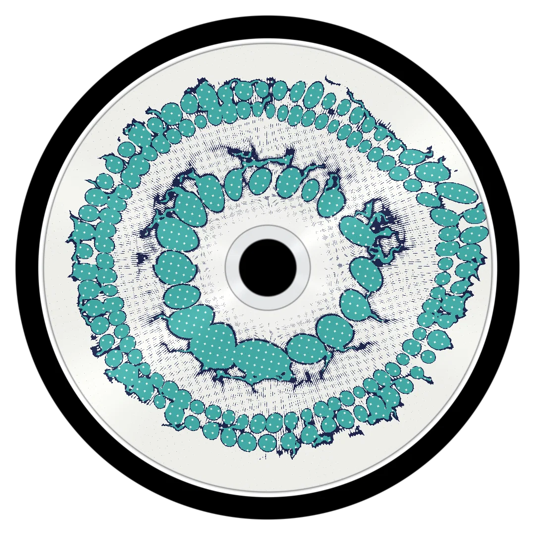 SLUSHIE cover