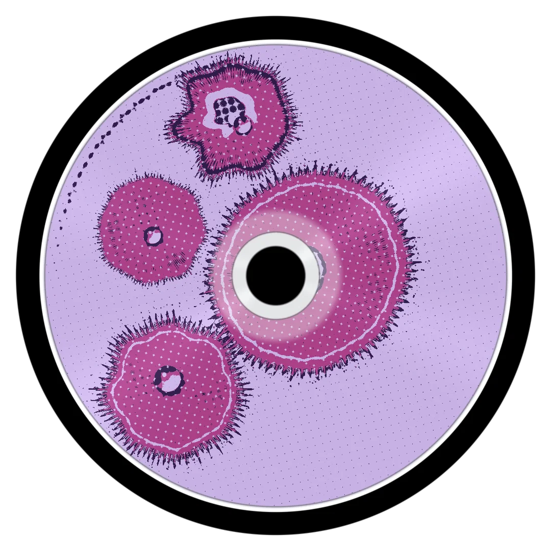 SPRING cover
