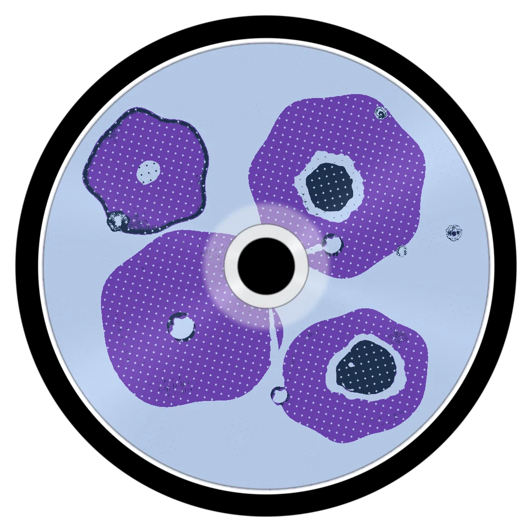 BUFFALLOOOOOO cover