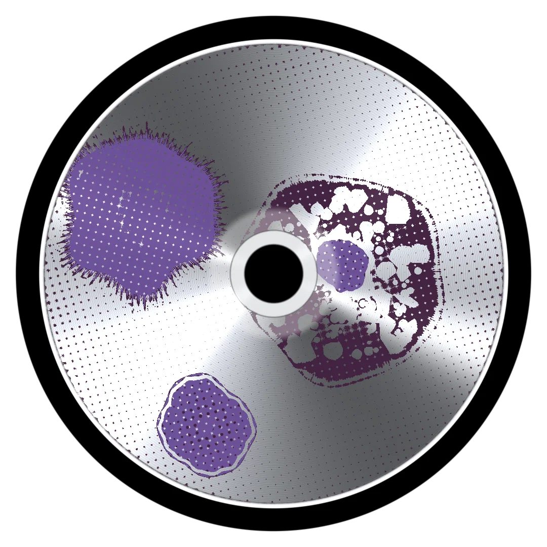 MONTECARLO cover