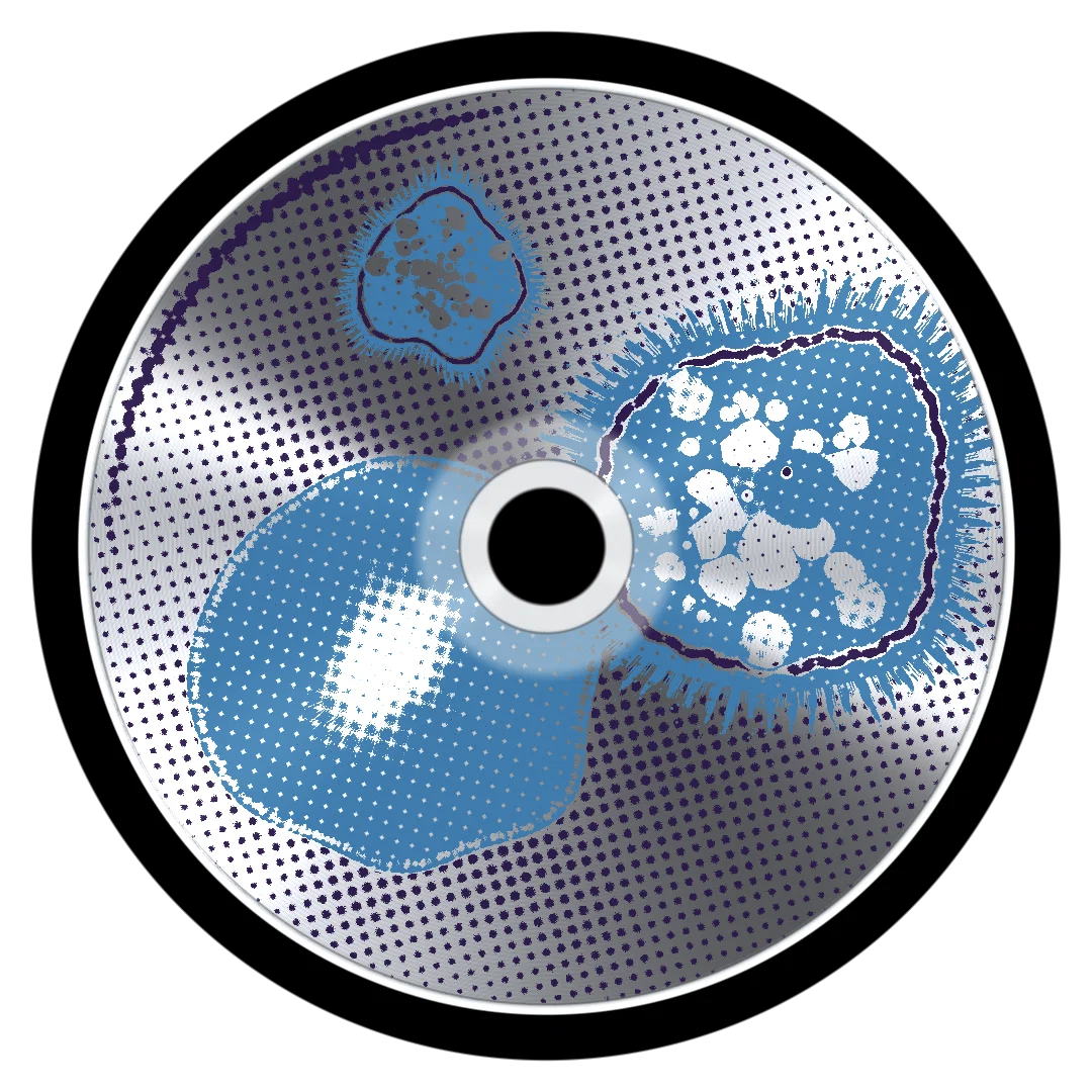 SECTOR cover