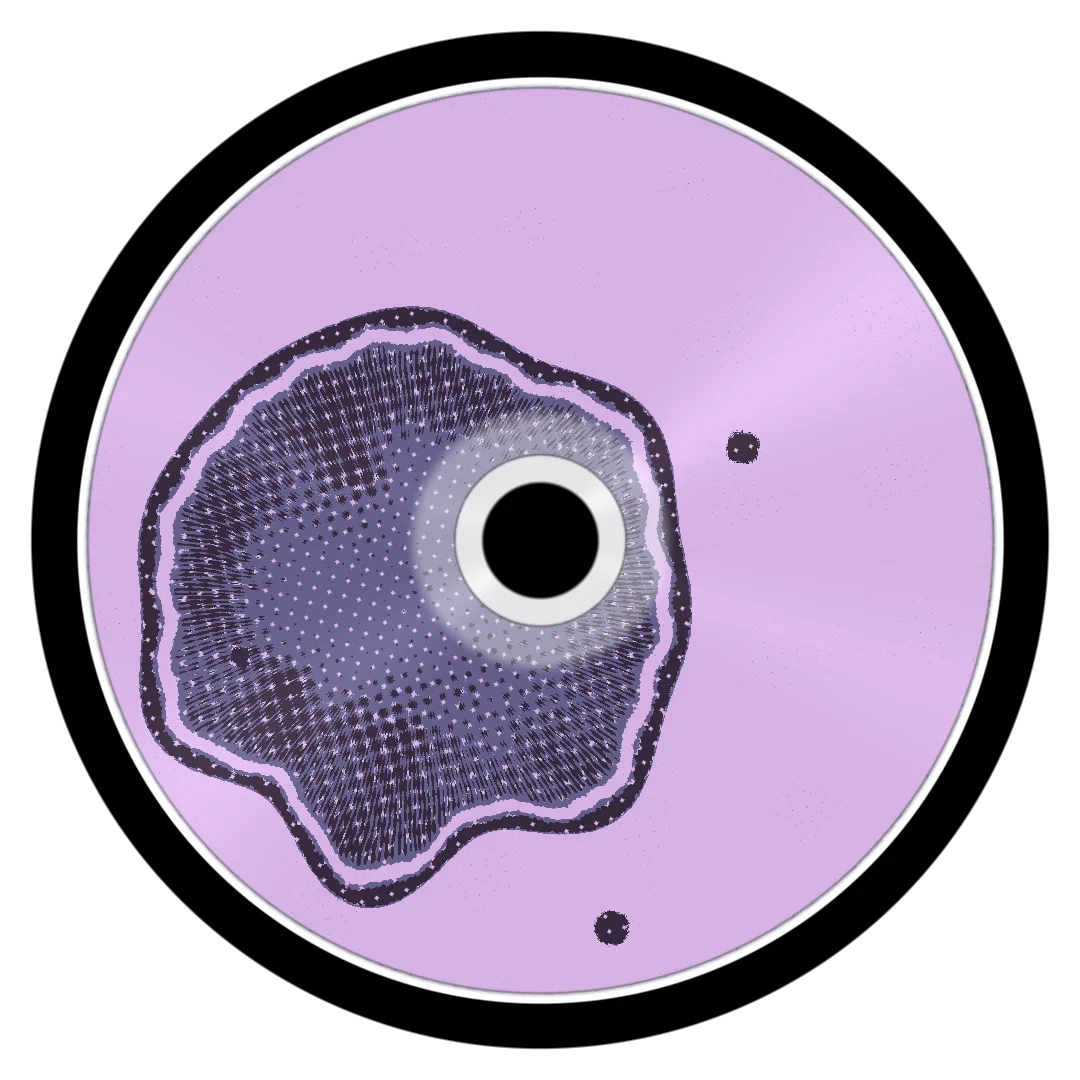 BANNER cover