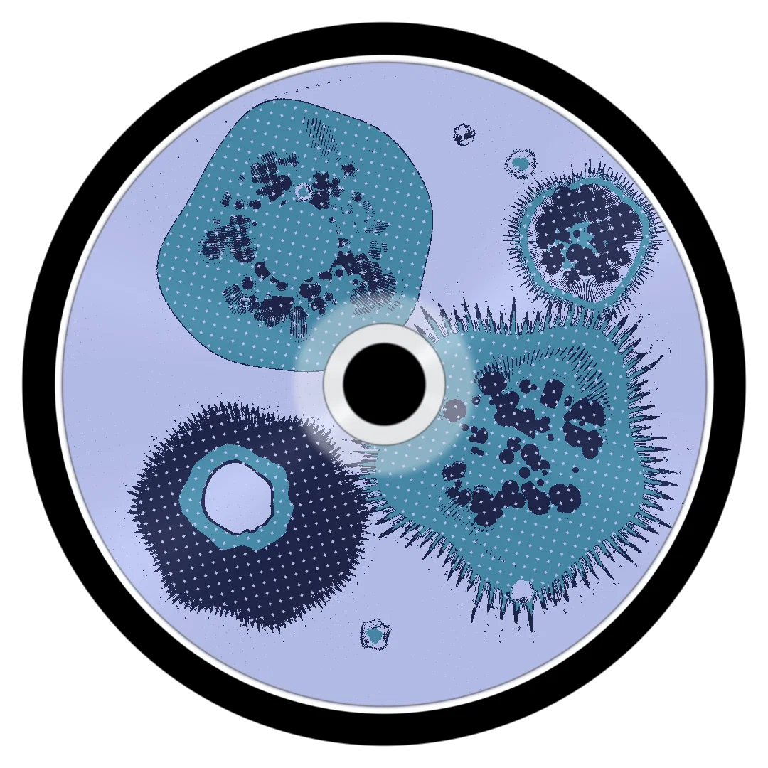 WINTERTIME cover